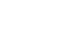 Vega Engineering