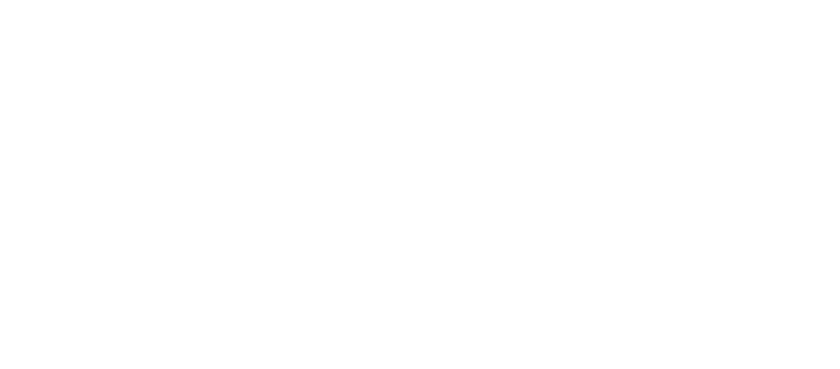 Vega Engineering